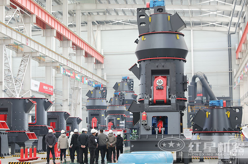 客戶(hù)一行來(lái)廠考察生石灰磨粉設(shè)備